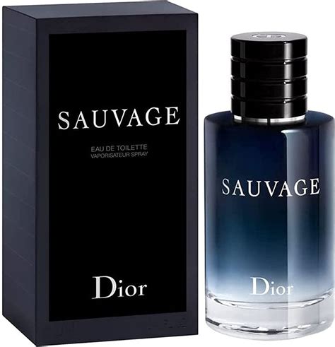 sauvage dior idea bellezza|sauvage dior fragrance.